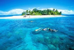 Snorkeling Michaelmas Cay is amazing.